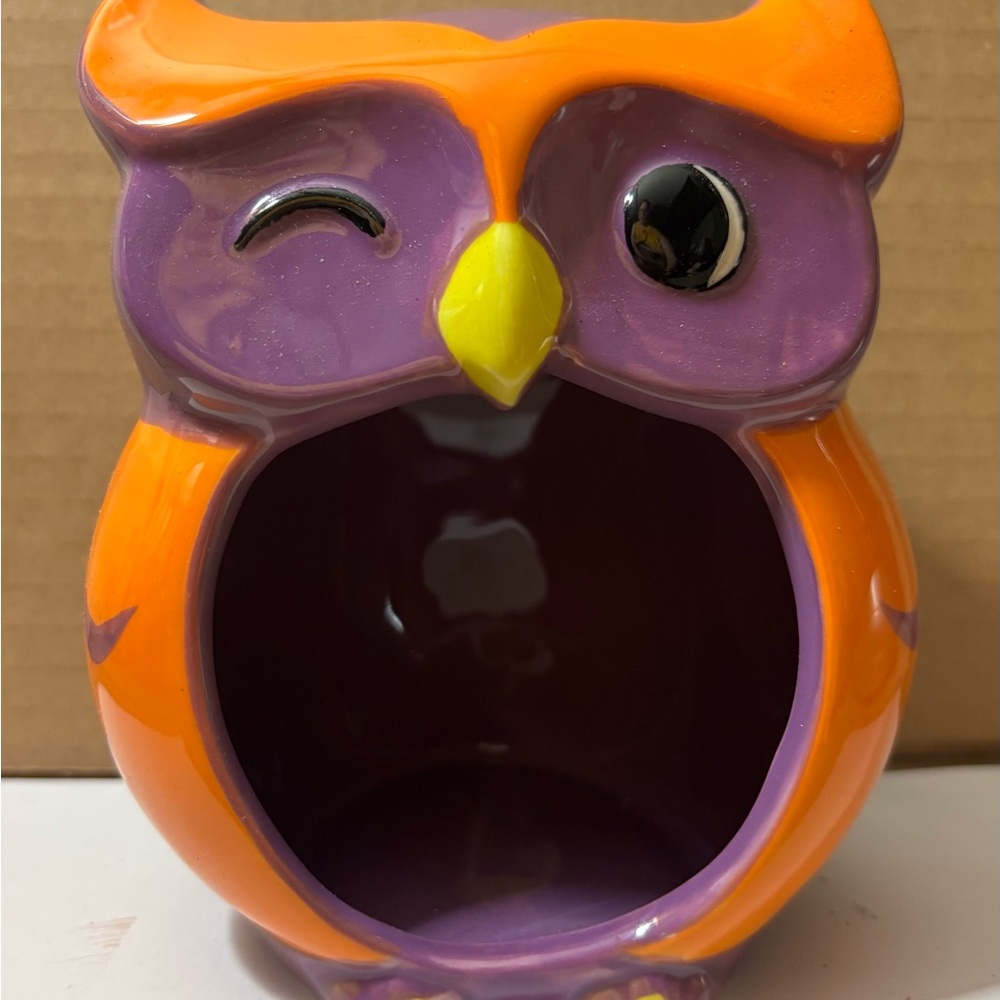 Colorful Owl Ceramic Holder